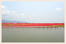 Fish Farming Net