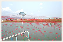 Fish Farming Net